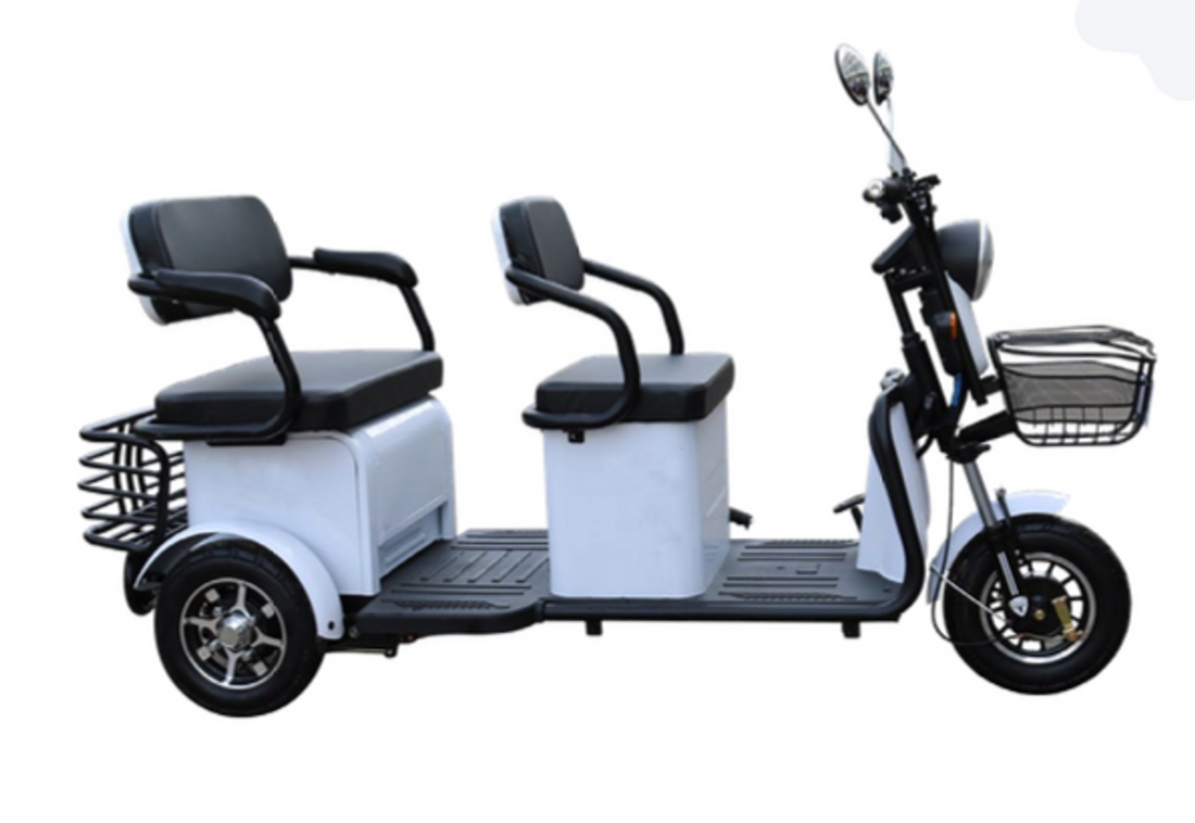 2 Passenger Recreational Scooter