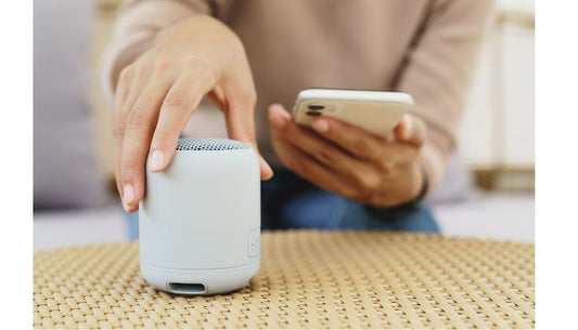  A Portable Speaker